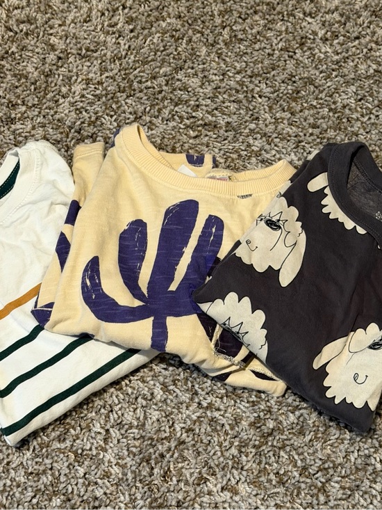 Zara Other - Bundle Kids Zara Cream Long Sleeve Tee with Navy Blue Plant Graphic